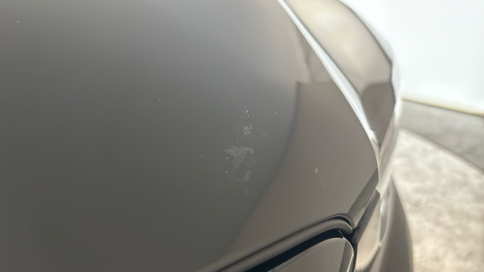 VOLVO XC40 Birdlime and chips