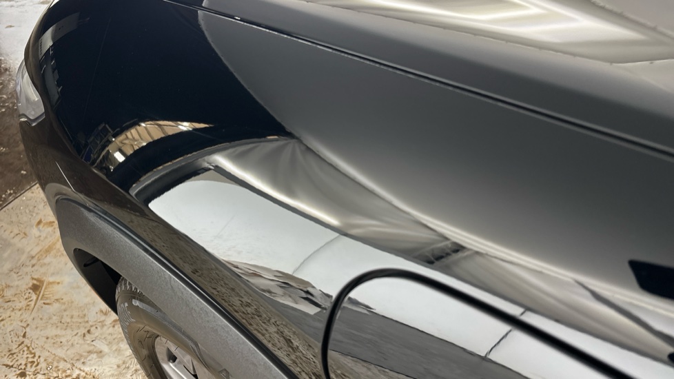 FORD MUSTANG MACH-E chips