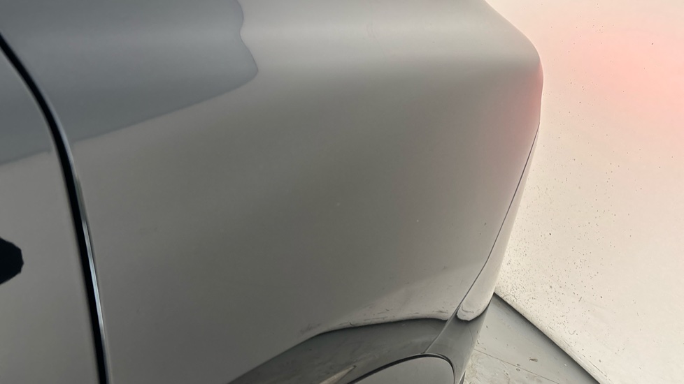 FORD MUSTANG MACH-E chips