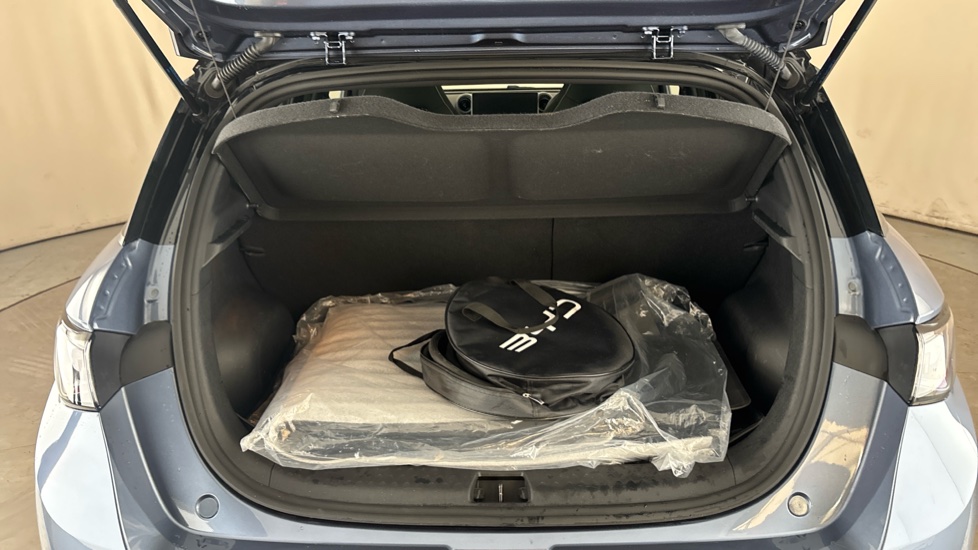 BYD DOLPHIN Image 15