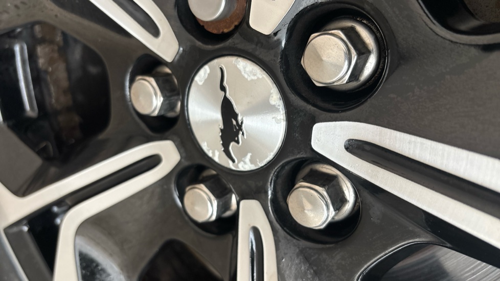 FORD MUSTANG MACH-E corrosion (all badges)