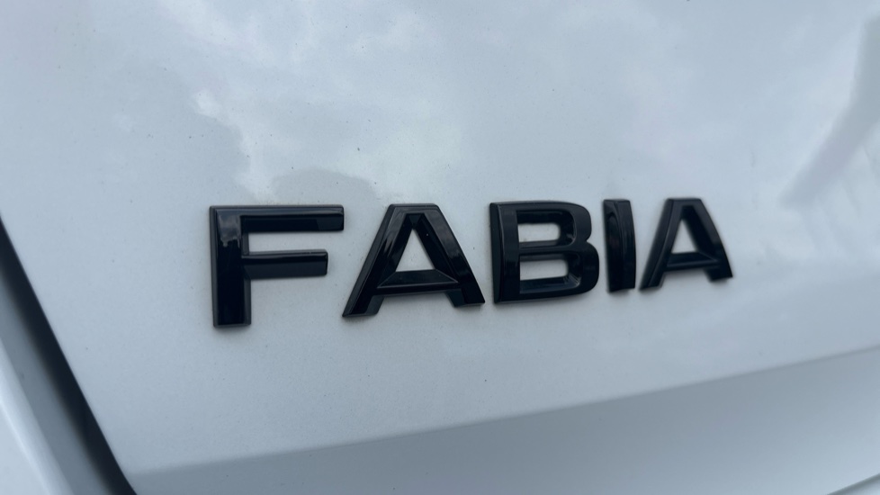 Skoda Fabia 1.0 TSI 116 Monte Carlo Edition 5dr Petrol Hatchback - Image 29