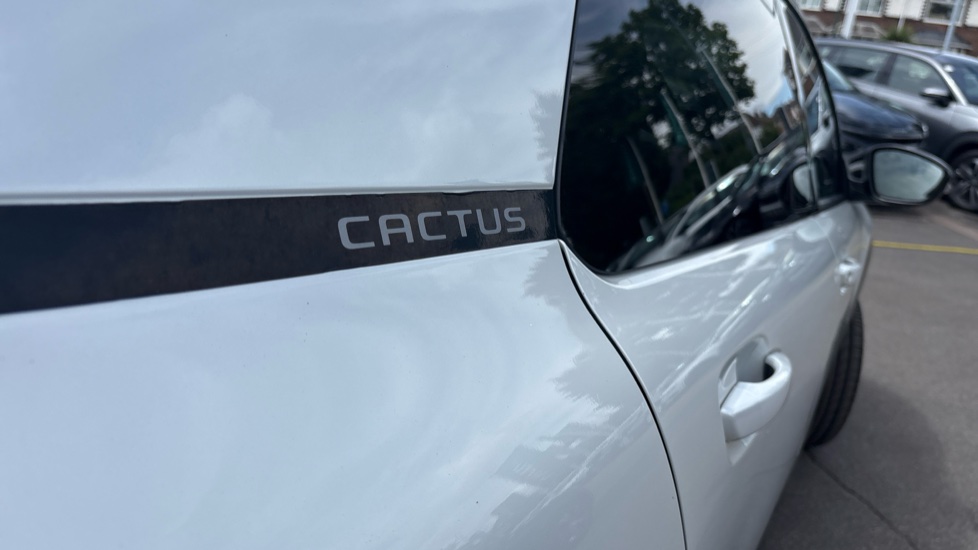 Citroen C4 Cactus 1.2 PureTech Flair 5dr [6 Speed] Petrol Hatchback - Image 45