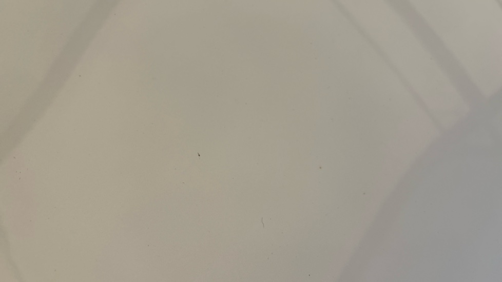TESLA MODEL Y chips