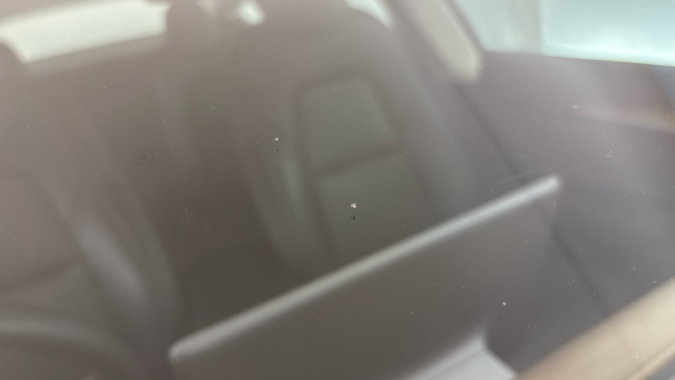 TESLA MODEL 3 Multiple chips