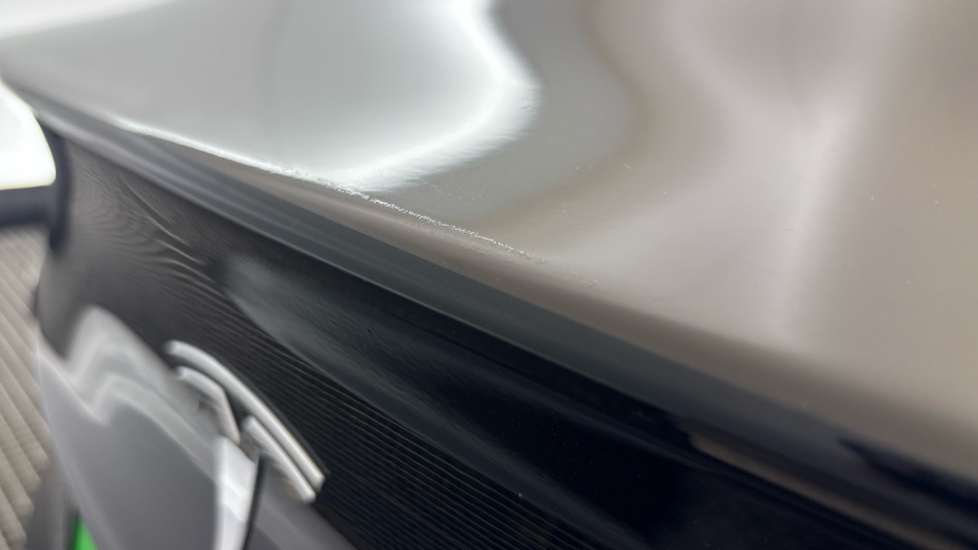 TESLA MODEL 3 Paint imperfection