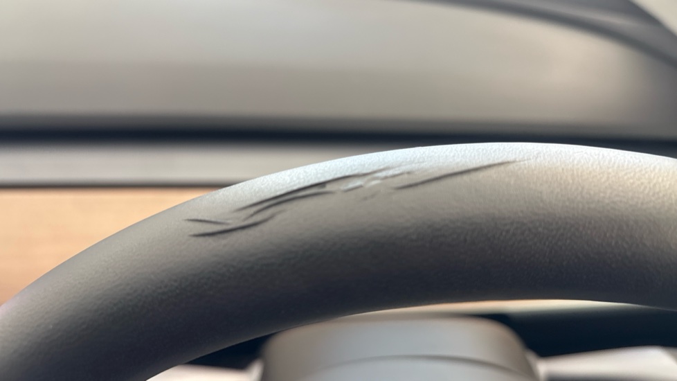 TESLA MODEL 3 worn