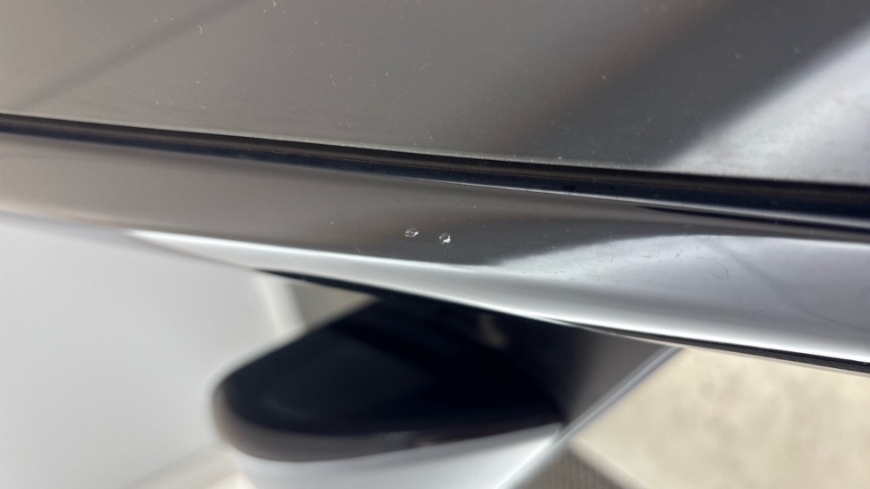 TESLA MODEL Y Chips