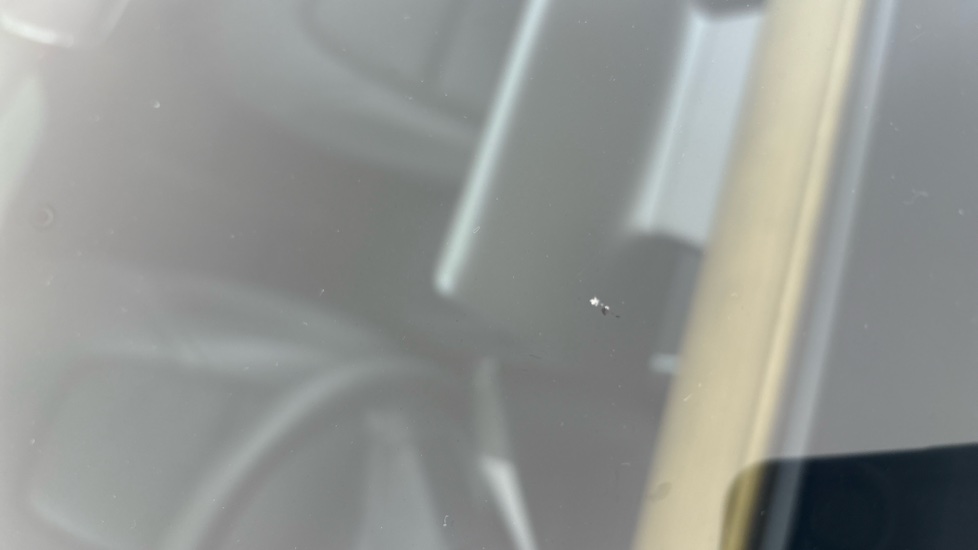 TESLA MODEL Y Multiple chips