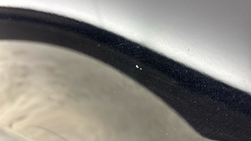 TESLA MODEL Y Chips