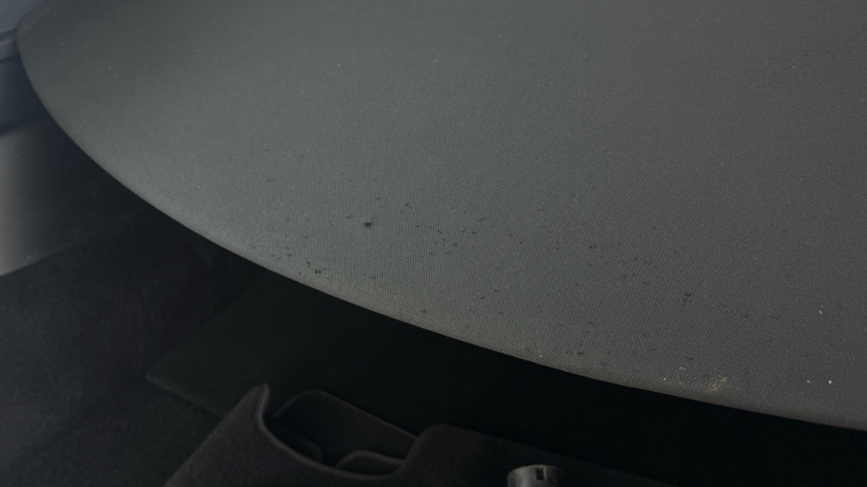 Tesla Model Y Worn