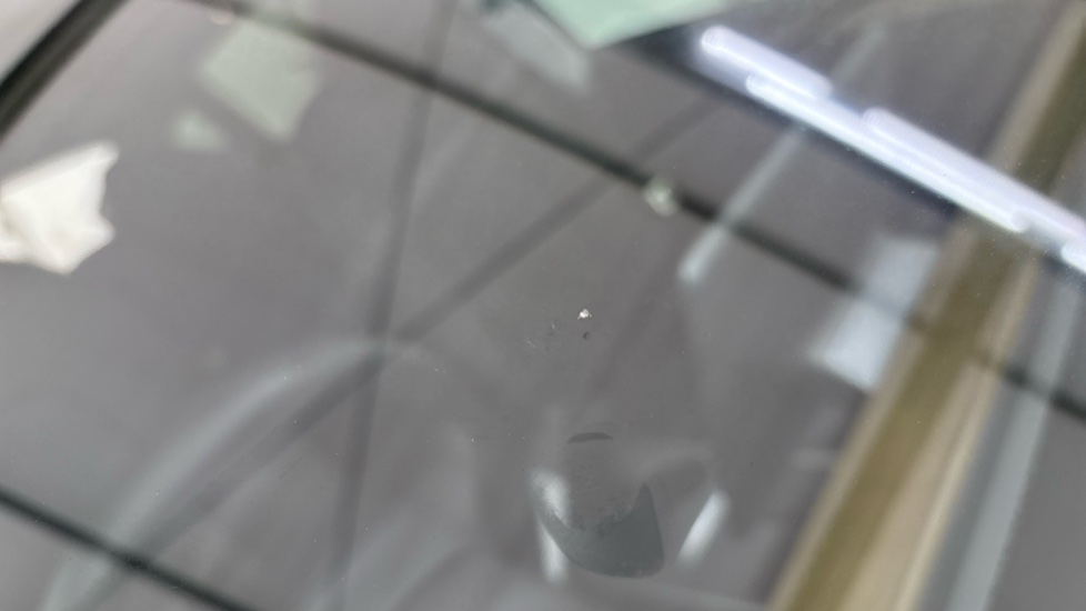 TESLA MODEL Y Multiple chips
