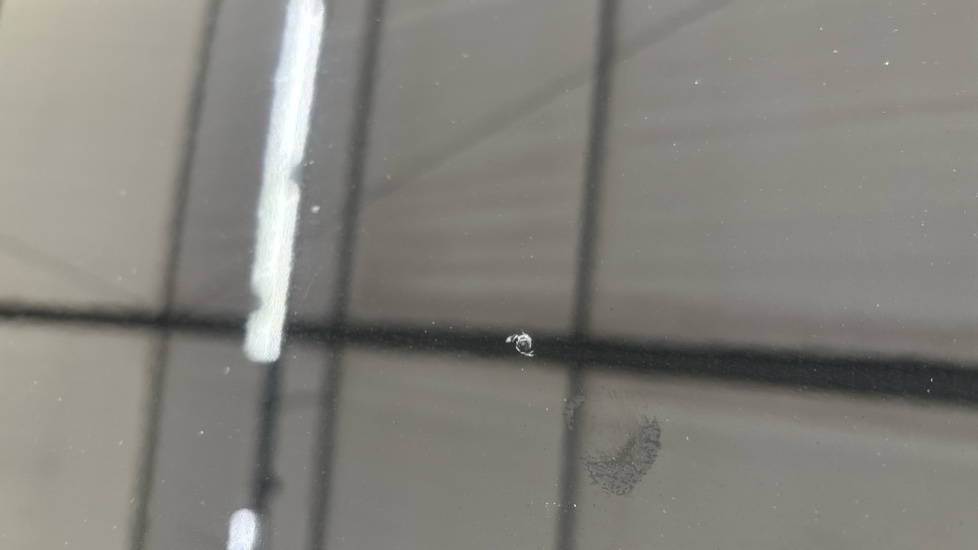 TESLA MODEL Y Multiple chips