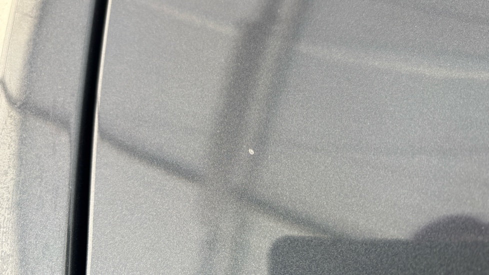 TESLA MODEL Y chips