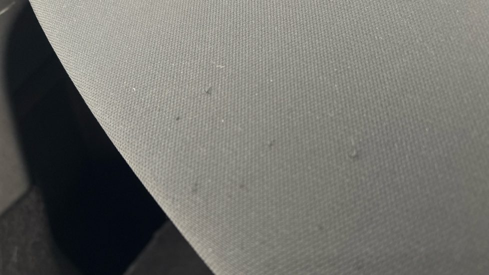 TESLA MODEL Y worn