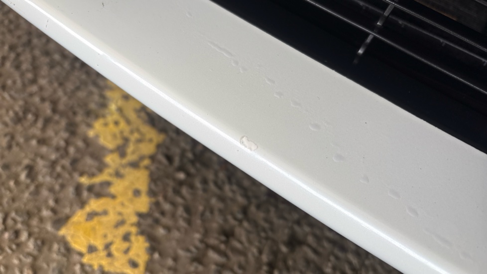 TESLA MODEL Y chips