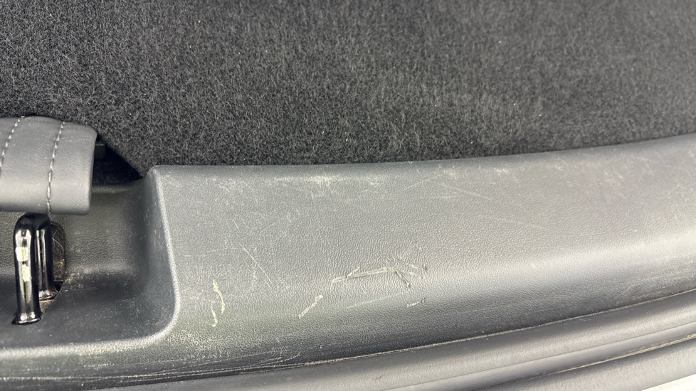 TESLA MODEL Y scuff