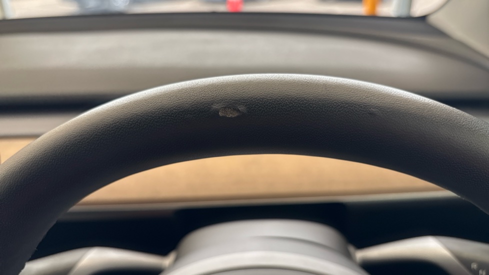 TESLA MODEL Y Worn