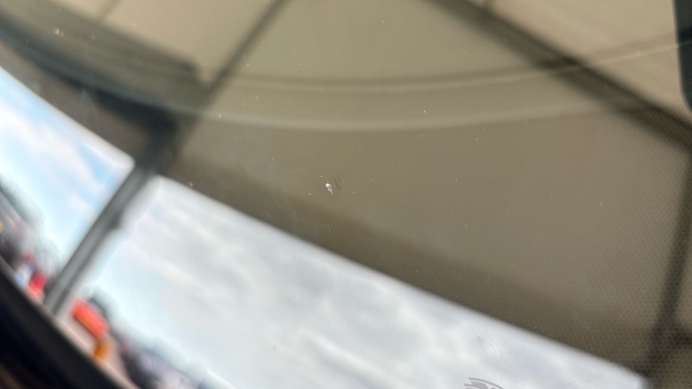 TESLA MODEL Y Multiple chips