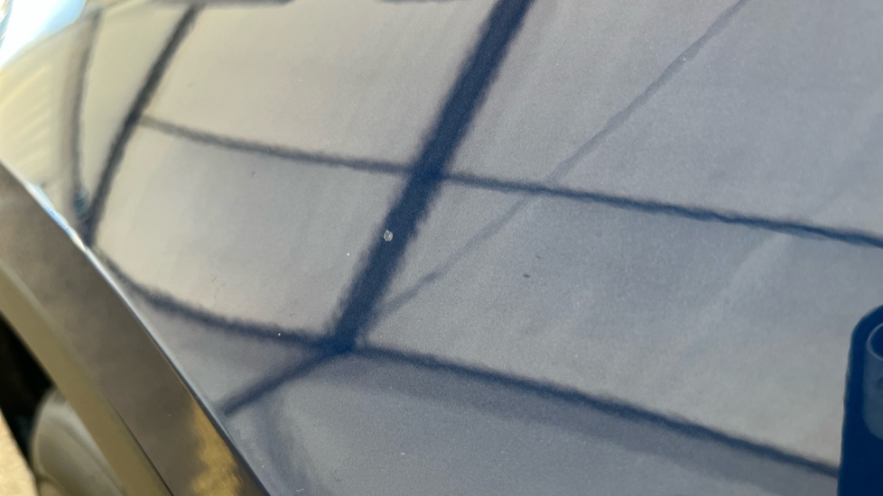 TESLA MODEL Y Chips