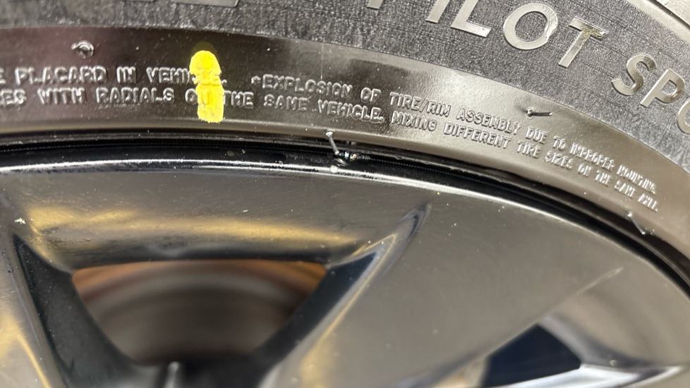TESLA MODEL Y chips