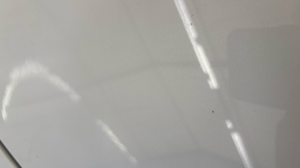 TESLA MODEL Y chips