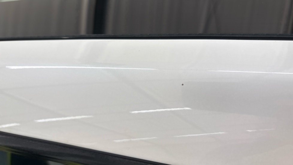 TESLA MODEL Y chips