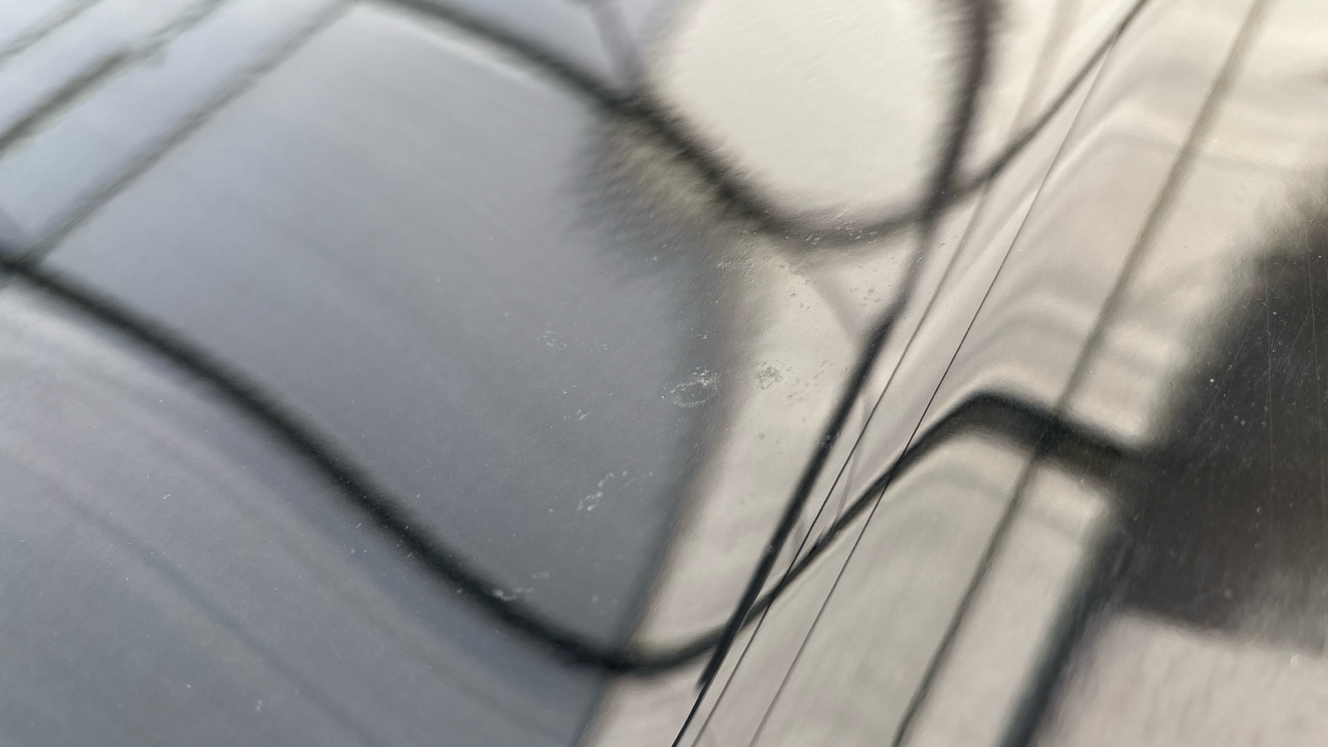 Birdlime and chips