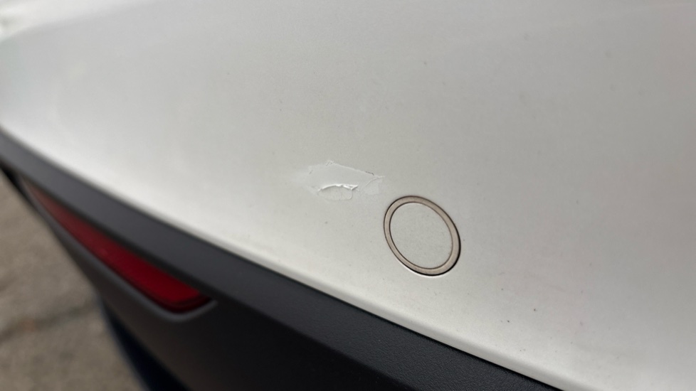 TESLA MODEL Y Dent and paint imperfection