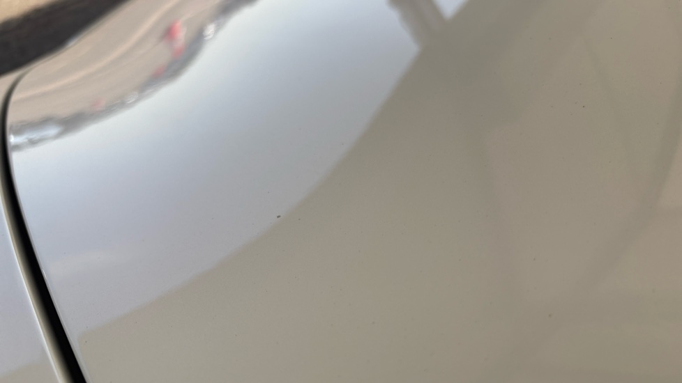 TESLA MODEL Y Multiple chips