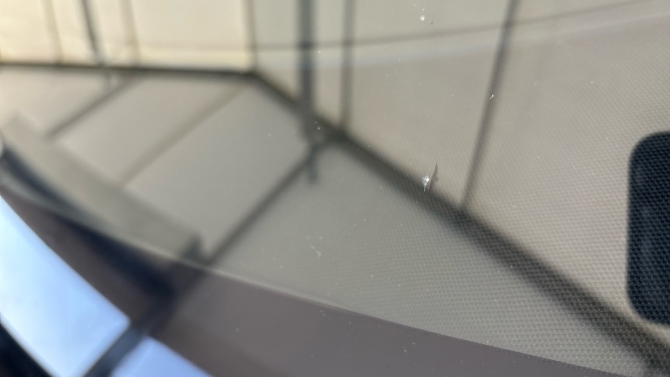 TESLA MODEL Y Multiple chips