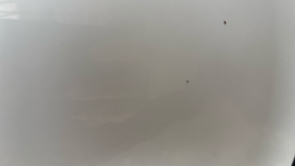 TESLA MODEL Y HATCHBACK RWD 5dr Auto