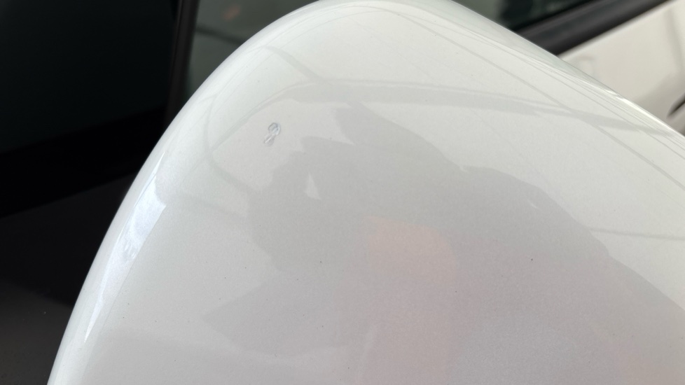 TESLA MODEL Y mirror cover chips