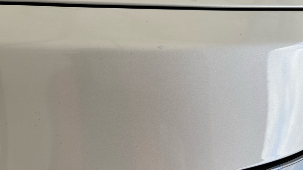 TESLA MODEL Y wing chips