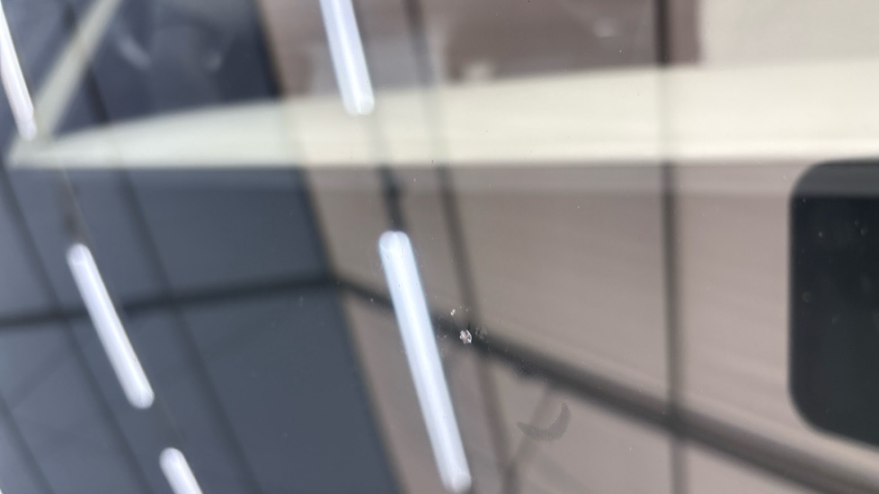 TESLA MODEL Y Multiple chips