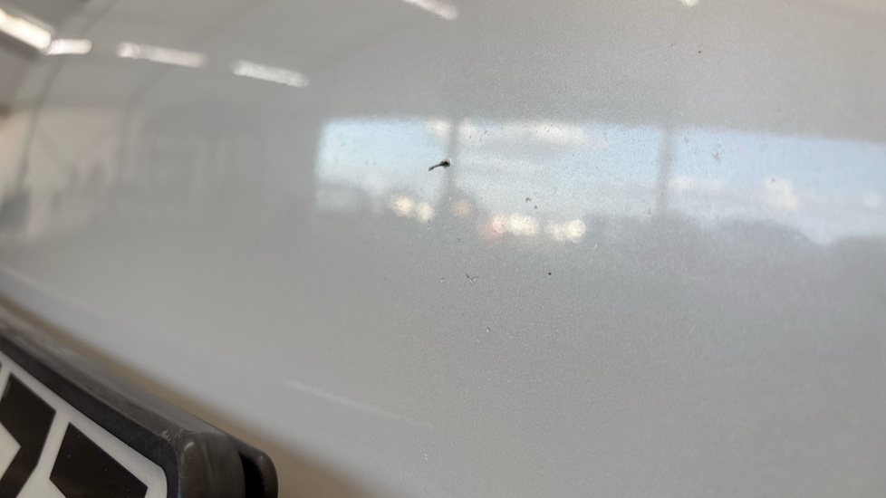 TESLA MODEL Y Multiple chips
