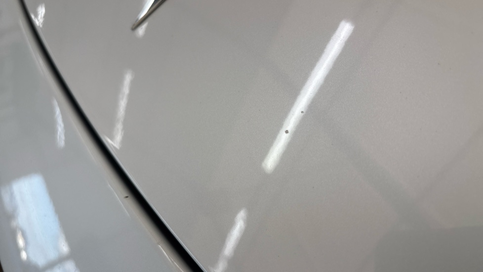 TESLA MODEL Y Multiple chips