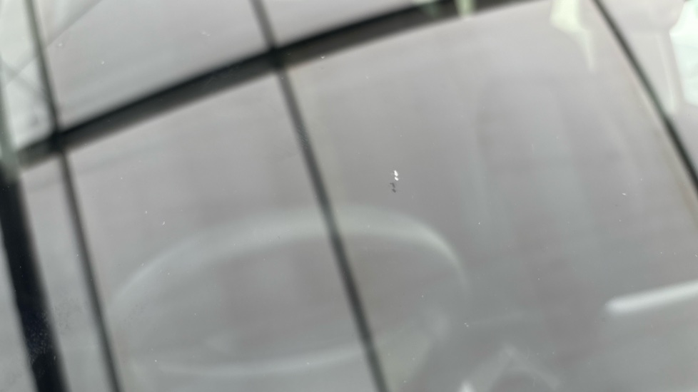 TESLA MODEL Y Multiple chips