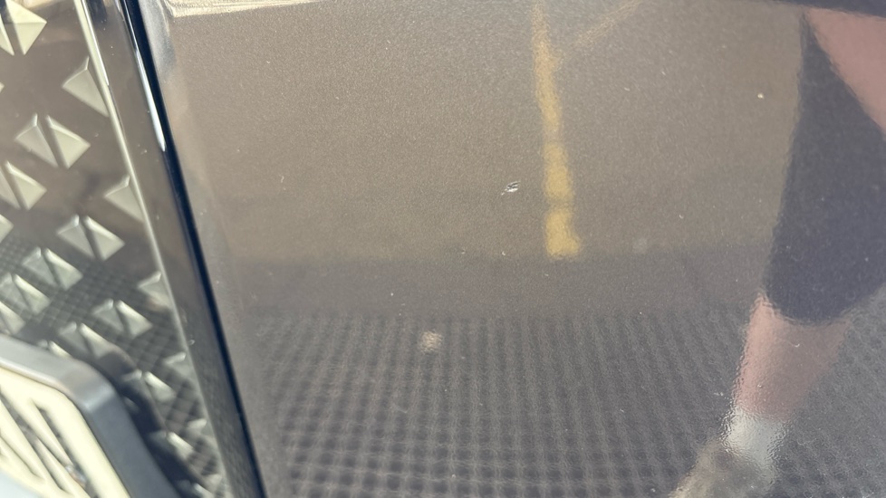 BMW iX chips