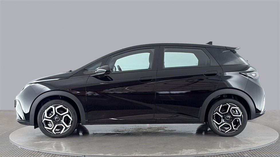 BYD DOLPHIN Image 2