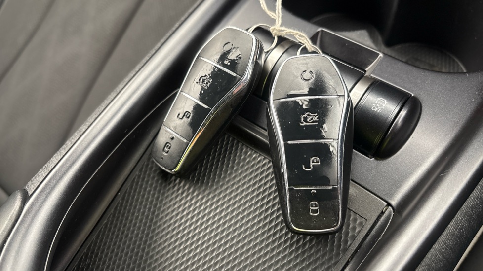 BYD DOLPHIN 2 keys