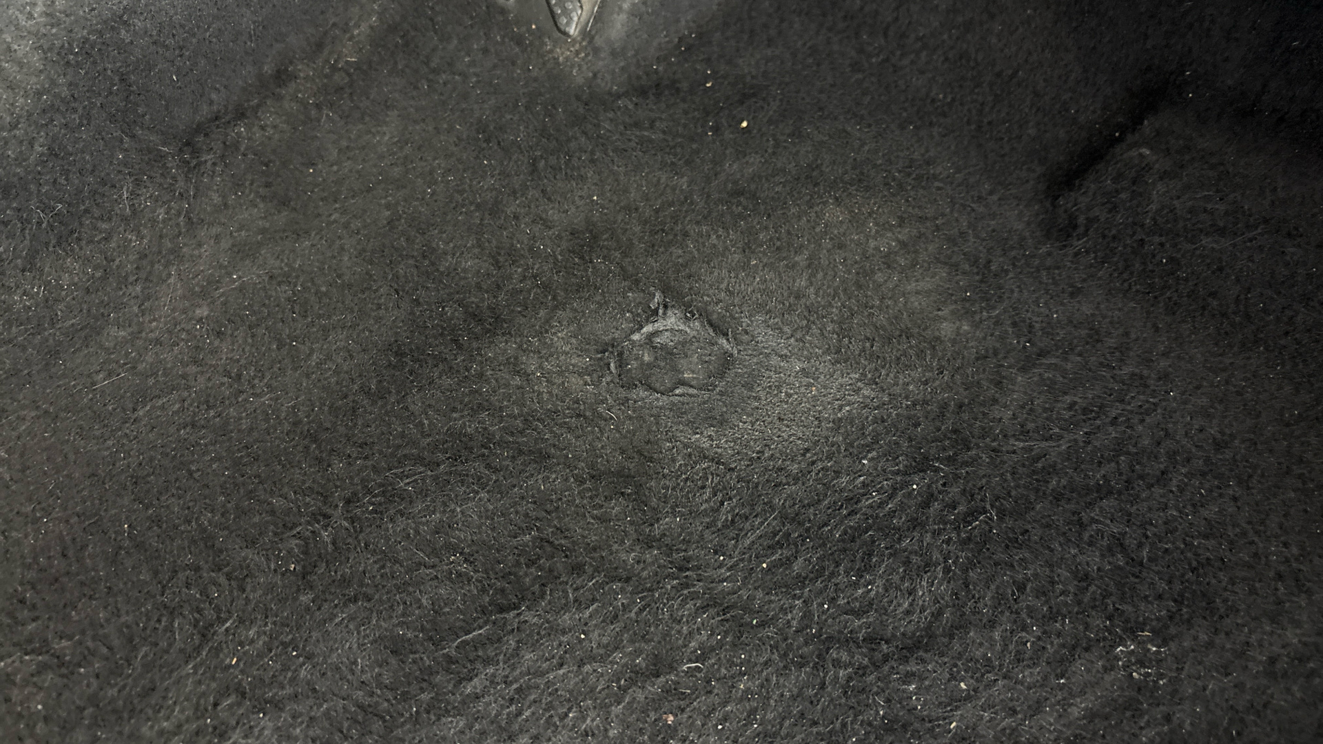 worn