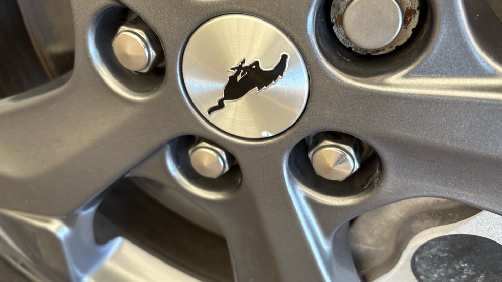 FORD MUSTANG MACH-E scuff