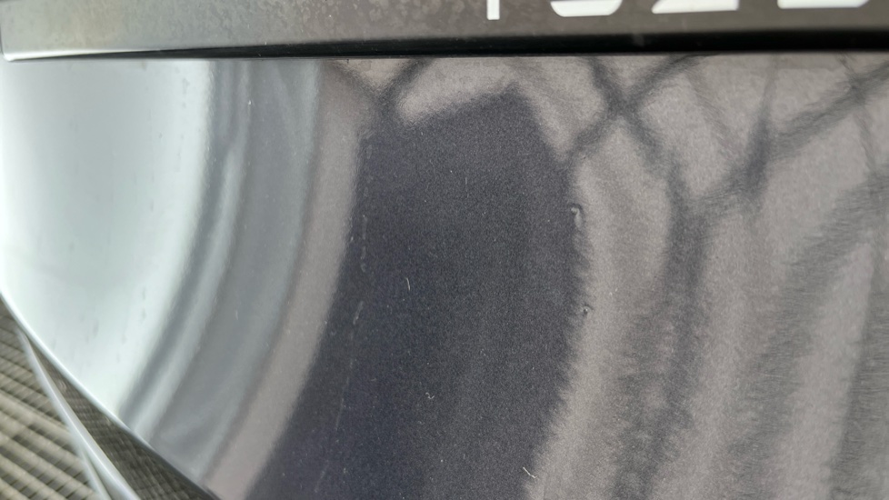 TESLA MODEL Y chips