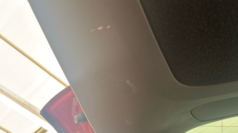 TESLA MODEL Y chips