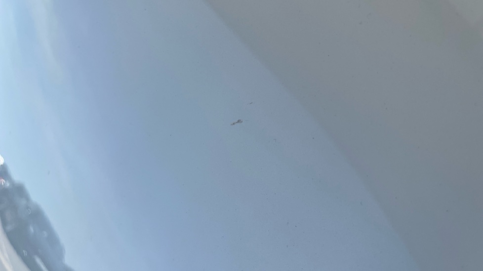 TESLA MODEL Y Multiple chips