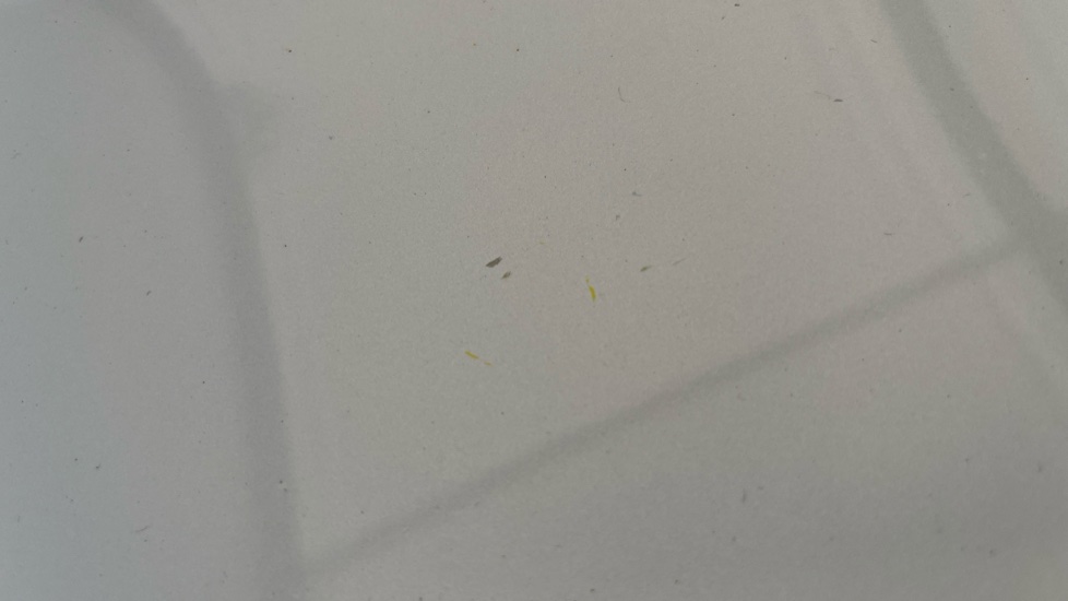 POLESTAR 2 Multiple chips